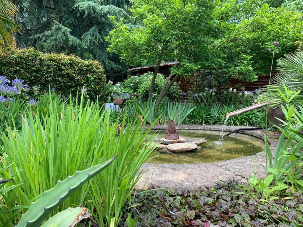 Maison En Pierre Dans Son Nid De Verdure Roz-Landrieux المظهر الخارجي الصورة