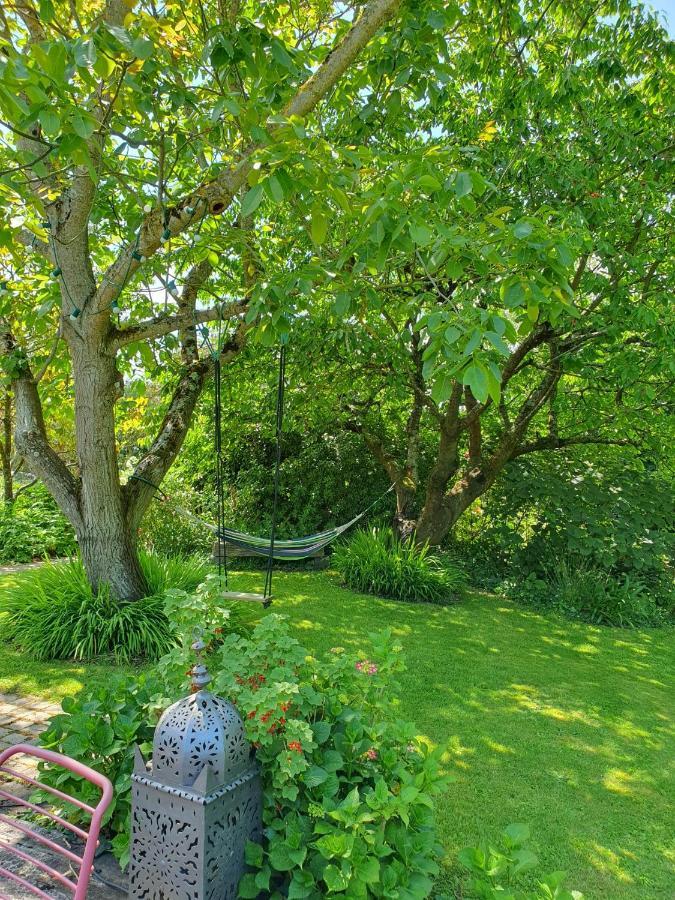 Maison En Pierre Dans Son Nid De Verdure Roz-Landrieux المظهر الخارجي الصورة