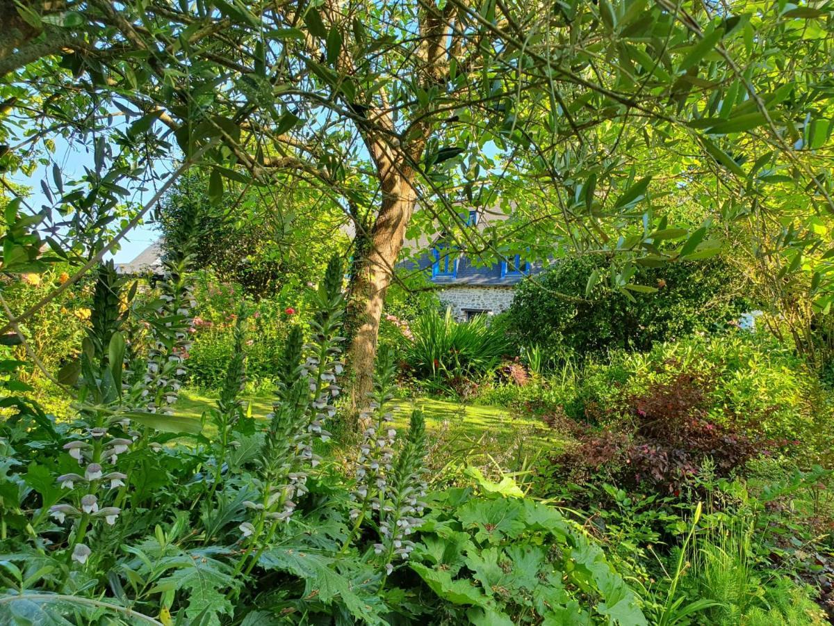 Maison En Pierre Dans Son Nid De Verdure Roz-Landrieux المظهر الخارجي الصورة