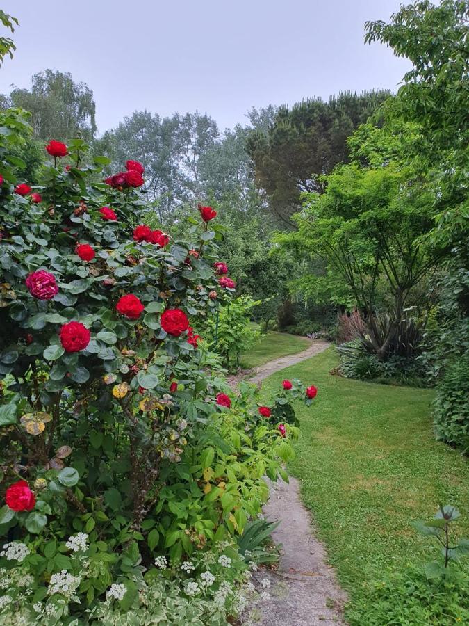Maison En Pierre Dans Son Nid De Verdure Roz-Landrieux المظهر الخارجي الصورة