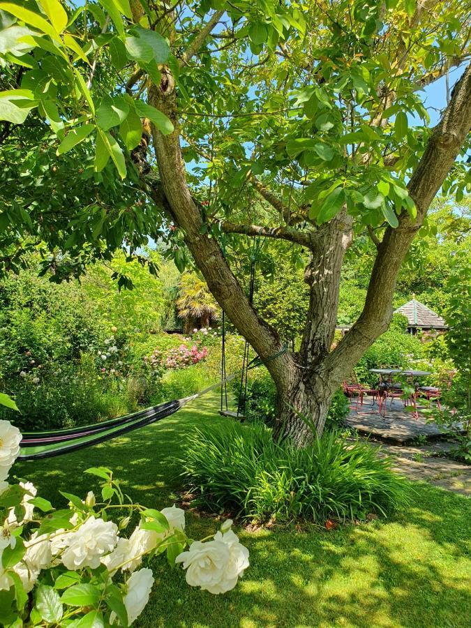 Maison En Pierre Dans Son Nid De Verdure Roz-Landrieux المظهر الخارجي الصورة